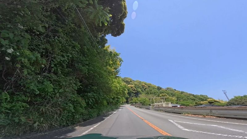 頼朝ライン